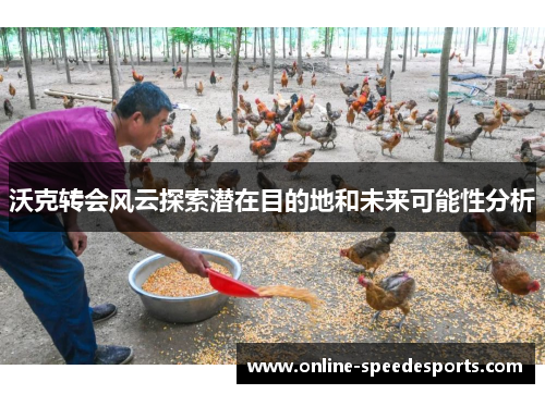 沃克转会风云探索潜在目的地和未来可能性分析