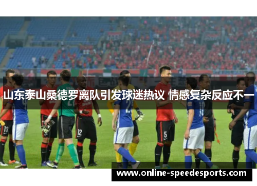 山东泰山桑德罗离队引发球迷热议 情感复杂反应不一 山东泰山桑德罗离队引发球迷热议 情感复杂反应不一