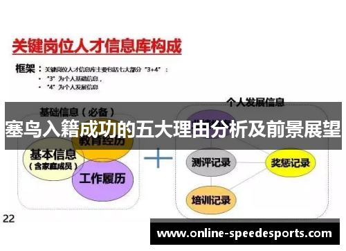 塞鸟入籍成功的五大理由分析及前景展望 塞鸟入籍成功的五大理由分析及前景展望