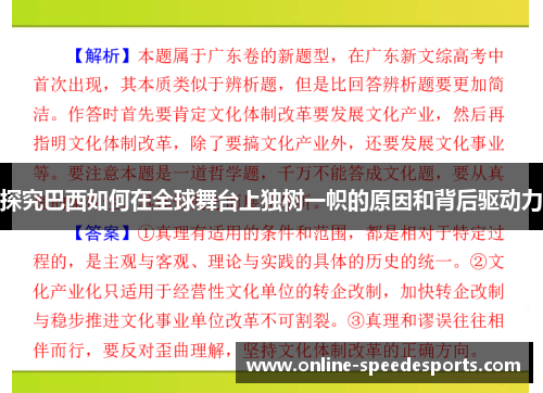 探究巴西如何在全球舞台上独树一帜的原因和背后驱动力 探究巴西如何在全球舞台上独树一帜的原因和背后驱动力