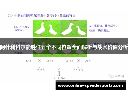 阿什利科尔能胜任五个不同位置全面解析与战术价值分析 阿什利科尔能胜任五个不同位置全面解析与战术价值分析
